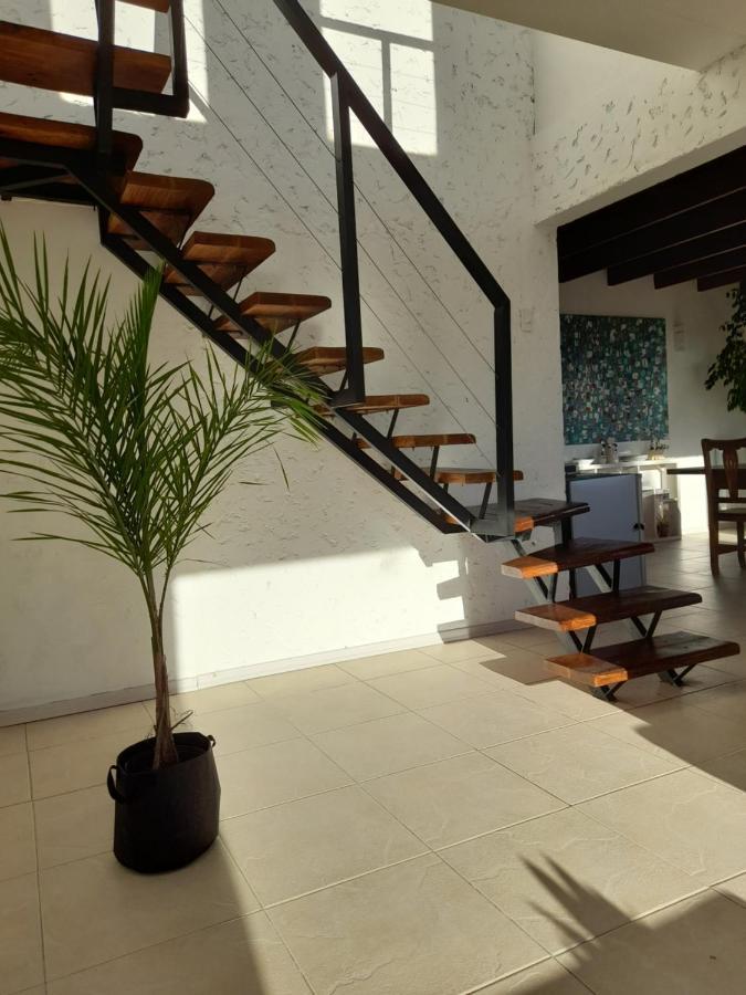 Appartement Casa Luminosa Con Parque Y Vista Espectacular à El Calafate Extérieur photo